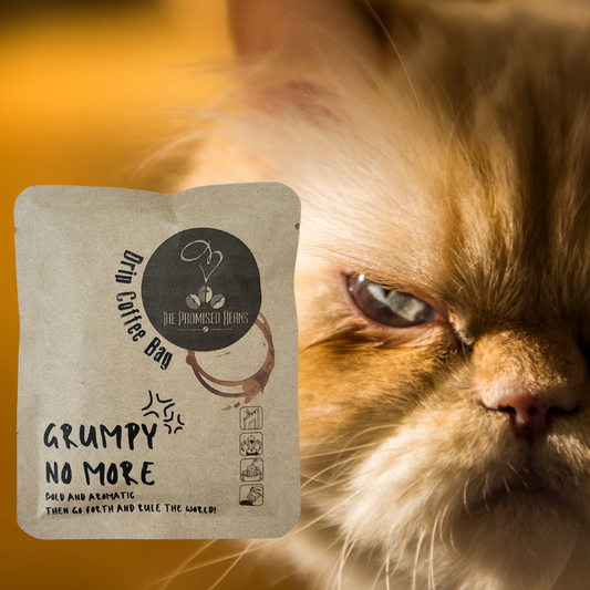 The Promised Drip Coffee Pack